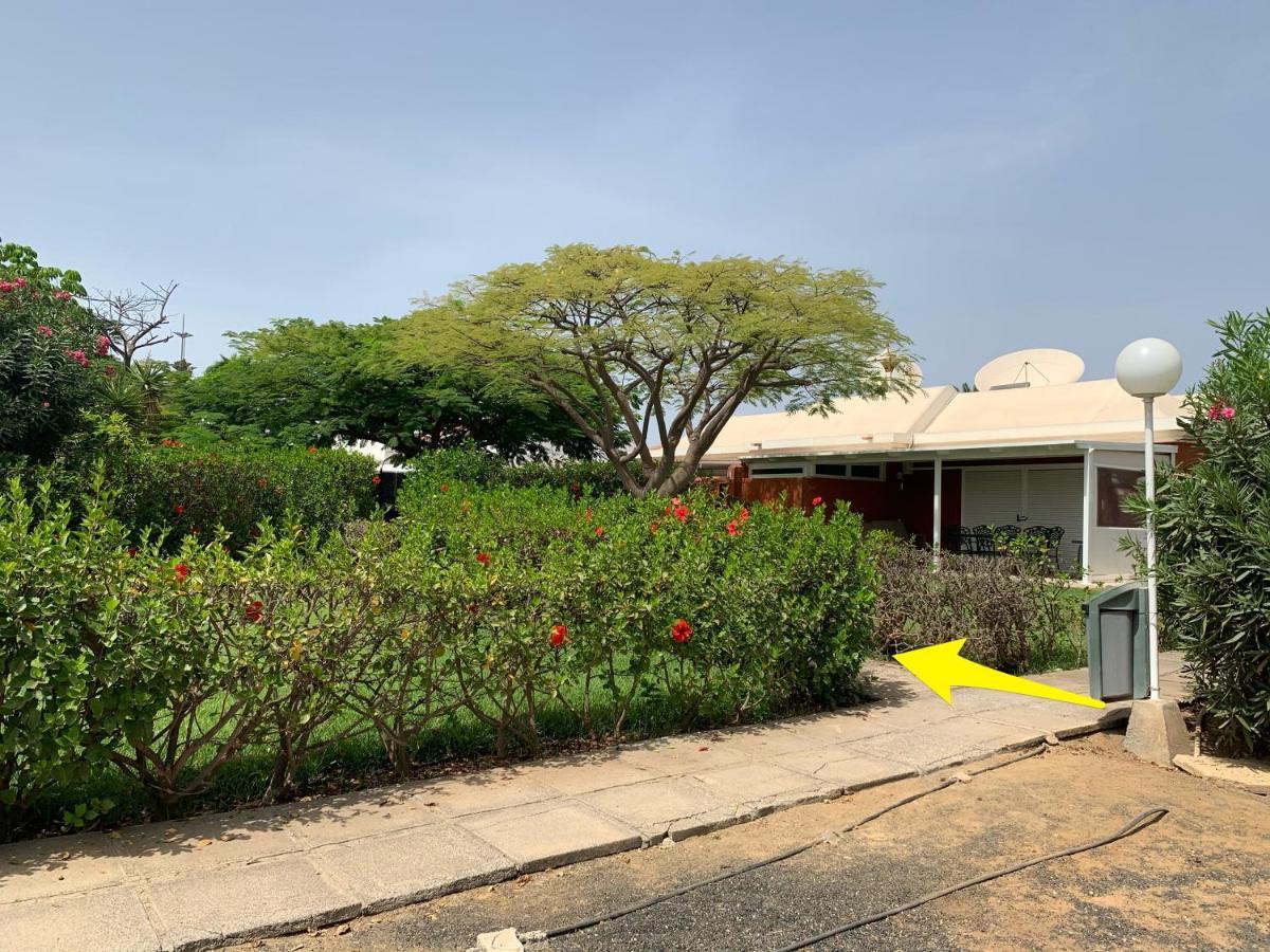 Flamboyant Tree Garden Holiday Home Maspalomas  Exterior foto